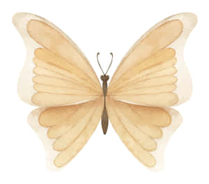 Beige Butterfly Illustration Wallpaper