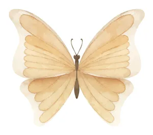 Beige Butterfly Illustration Wallpaper