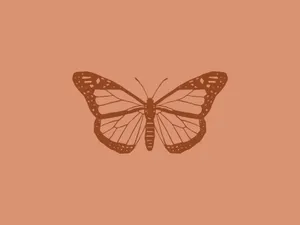 Beige Butterfly Illustration Wallpaper
