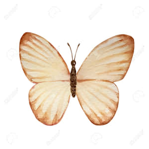Beige Butterfly Watercolor Art Wallpaper
