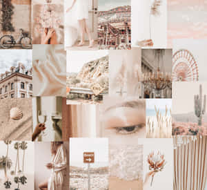 Beige Cream Aesthetic Collage Wallpaper