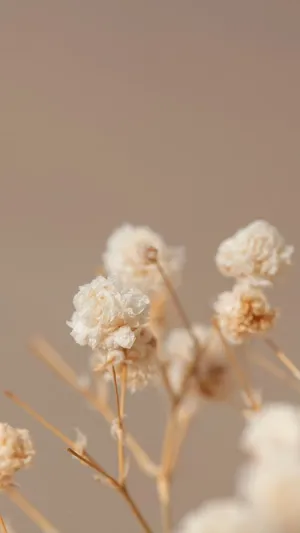 Beige Dried Flowers Aesthetic Wallpaper