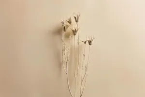 Beige Floral Aesthetic Wall Art Wallpaper