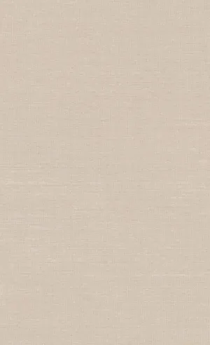 Beige Minimalist Hue For Design Wallpaper