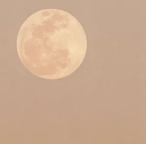 Beige Moon Aesthetic Wallpaper