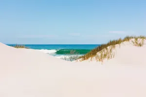 Beige Sand Dunes Beach View Wallpaper