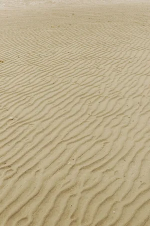 Beige Sand Ripples Beach Aesthetic.jpg Wallpaper