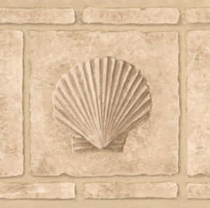 Beige Seashell Wall Decor Wallpaper