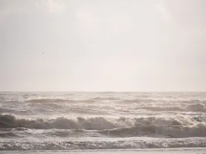 Beige Vanilla Beachscape Wallpaper