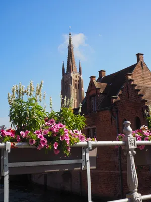 Belgium Church Of Our Lady Wallpaper