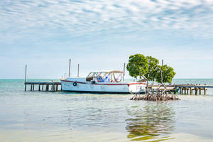 Belize Ambergris Caye Wallpaper