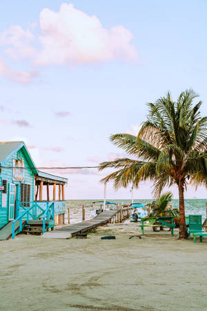 Belize Rainbow Bar And Grill Wallpaper