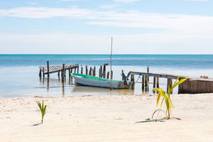 Belize Tobacco Caye Wallpaper