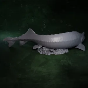 Beluga Sturgeon In Aquatic Environment Wallpaper