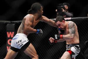 Ben Henderson Striking Frankie Edgar Wallpaper