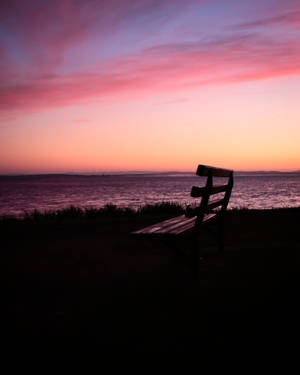 Bench At Pink Dusk Wallpaper