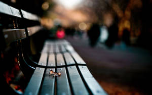 Bench Close Up Wallpaper