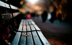 Bench Close Up Wallpaper