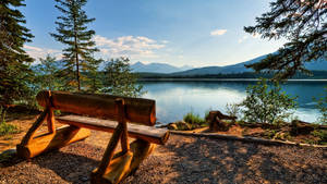 Bench Facing Lake Wallpaper