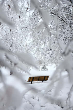 Bench Focus Photography Cozy Winter Aesthetic Wallpaper