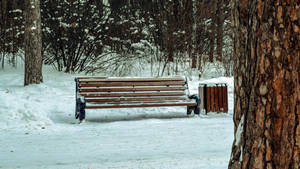 Bench On Snow Wallpaper