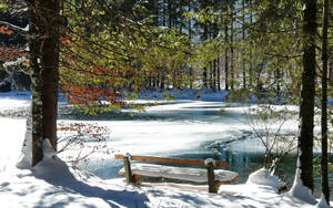 Bench On Snow Lake Wallpaper