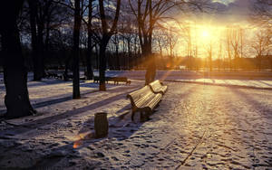 Benches Under Sunlight Wallpaper