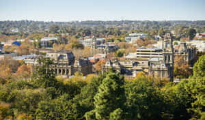 Bendigo Cityscape Autumn View Wallpaper