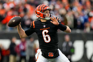 Bengals Quarterback Action Shot Wallpaper