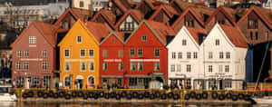 Bergen Bryggen Historic Waterfront Wallpaper