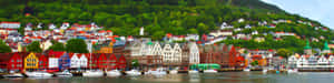 Bergen Norway Harbor Panorama Wallpaper