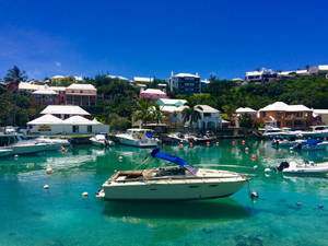 Bermuda Flatts Village Wallpaper