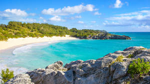 Bermuda Horseshoe Bay Wallpaper