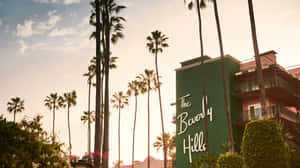 Beverly Hills Hotel Sunset Palms Wallpaper