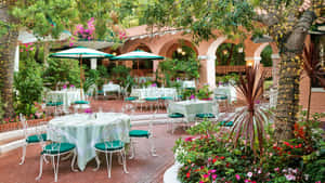 Beverly Hills Outdoor Restaurant Patio Wallpaper