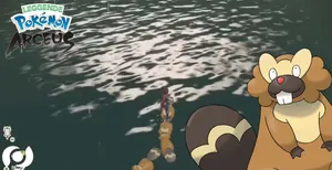 Bibarel Pokemon Arceus Wallpaper