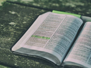 Bible Reference With Green Highlight Wallpaper