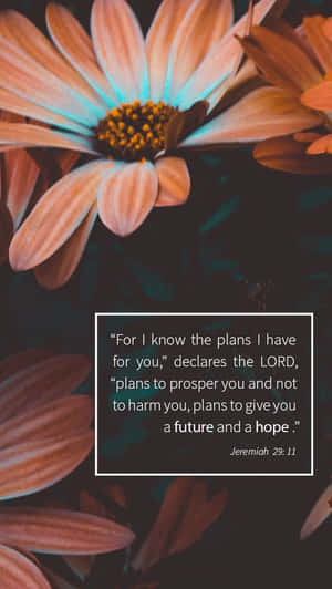 Bible Verse Jeremiah 29:11 Wallpaper