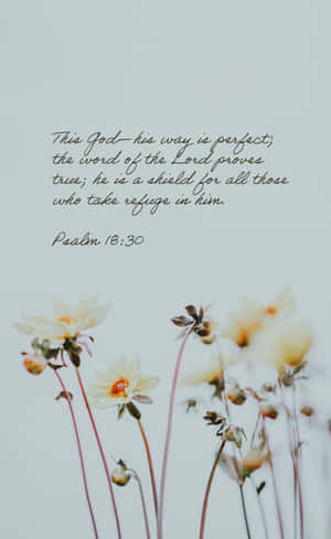 Bible Verse Phone Psalm 16 Wallpaper