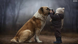 Big Dog With Little Boy Wallpaper