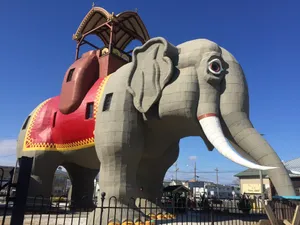 Big Lucy The Elephant Wallpaper