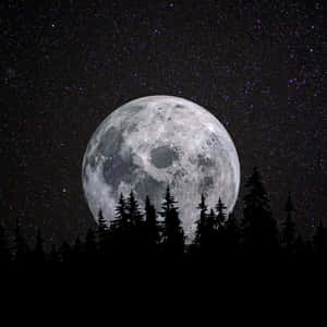 Big Moon On Dark Starry Night Wallpaper