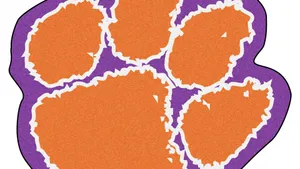 Big Orange Paw Print Wallpaper