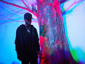 Big Sean Neon Tree Wallpaper