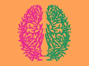 Bilingual Brain Art Wallpaper