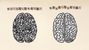 Bilingual Brain Illustration Wallpaper