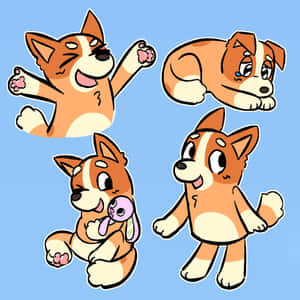 Bingo Bluey Character Poses Wallpaper