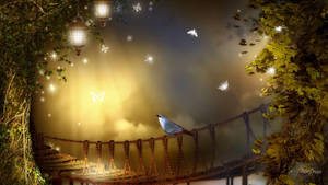 Bird And Night Butterfly Wallpaper