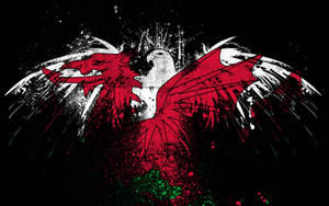 Bird In Palestine Flag Colors Wallpaper