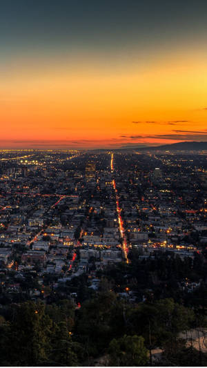 Bird's Eye View Los Angeles City Nighttime Wallpaper